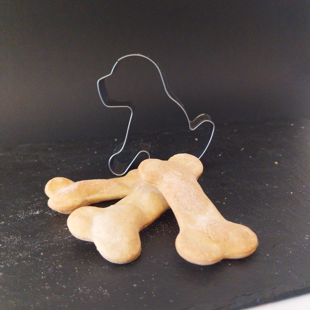 Delicias Caseras para Mascotas – Homemade Pet Delights